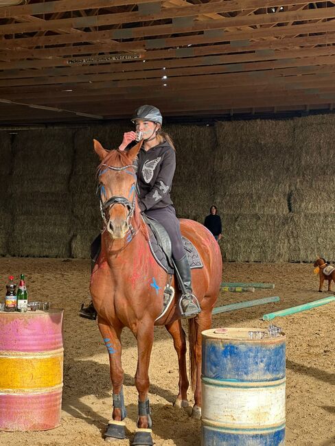 Typvolle fuchsfarbene Stute mit besten Anlagen für Sport, Freizeit und Zucht, Kerstin Rehbehn (Pferdemarketing Ost), Pferd kaufen, Nienburg, Abbildung 2