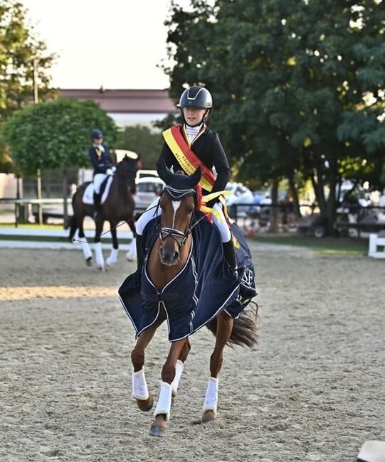 Deutsches Reitpony, Nina, Horses For Sale, Burgauberg