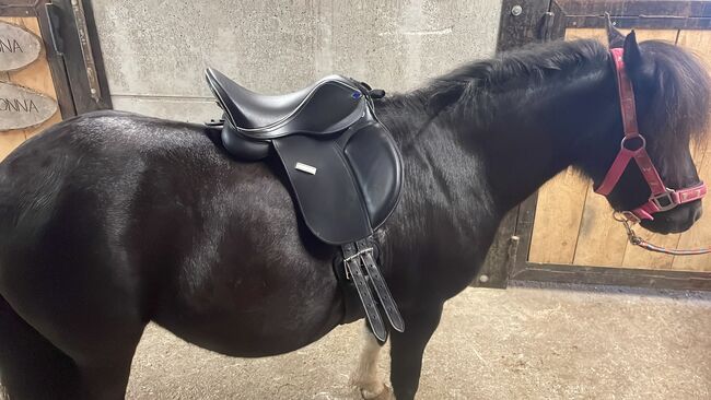 Tyson 12 Zoll, Tyson VS, Johanna , Reitpad, Schwarzenberg