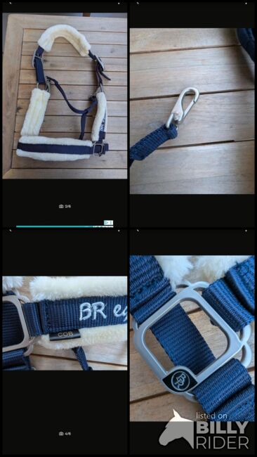 Fellhalter Blau, BR, Beatrice , Kantary, Basel , Image 6