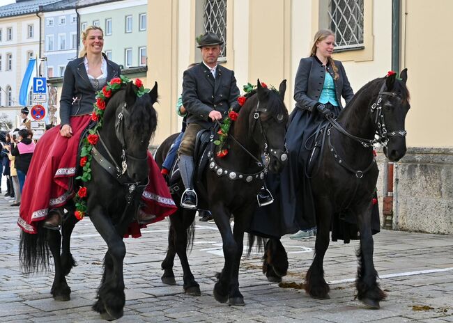 Reitbeteiligungen und Pflegebeteiligungen auf Lehrpferden, Adriane Schmedemann Reitschule, Horse Sharing
, Schonstett , Image 3