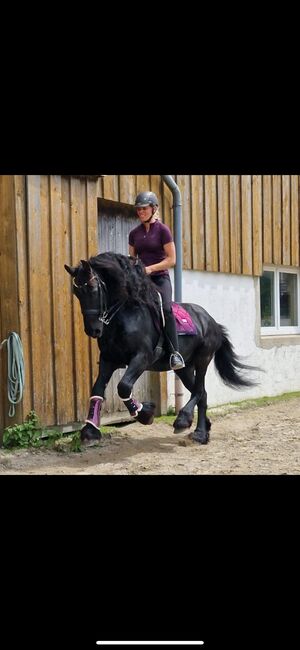 Reitbeteiligungen und Pflegebeteiligungen auf Lehrpferden, Adriane Schmedemann Reitschule, Horse Sharing
, Schonstett , Image 2
