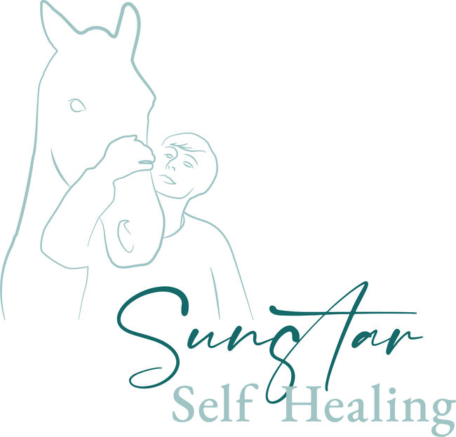 Übergewicht, mattes Fell, brüchige Hufe?, Sybille Baier (Sunstar-Self-Healing), Therapie & Behandlung, Herzberg am Harz, Abbildung 2