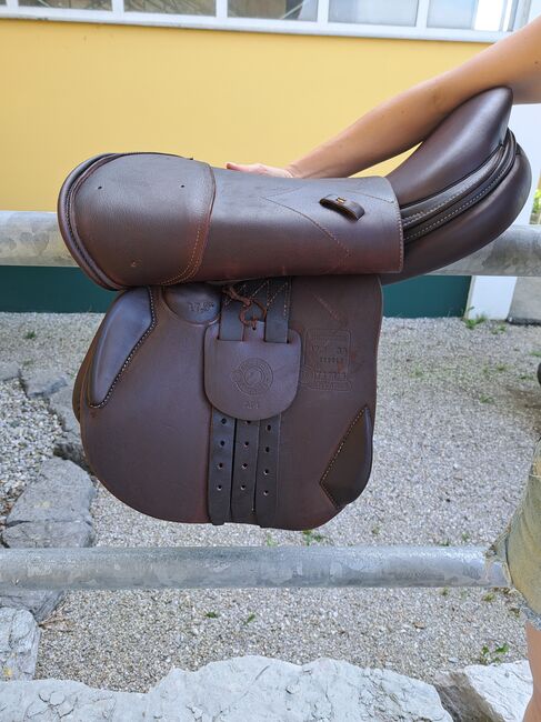 Signature by Antares 17,5, Antares  Signature, Stefanie Hirnböck, Jumping Saddle, Koppl, Image 8