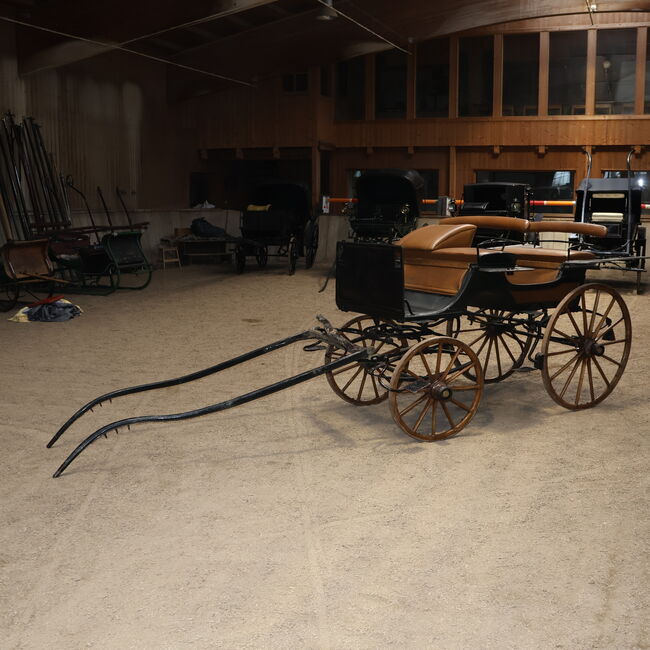 Ungarischer Jagdwagen Pirschwagen Einspänner Leicht Kunstleder, Ungarischer Jagdwagen, Niklas Jäger (2ndTrade e.K.), Kutschen, Wolnzach