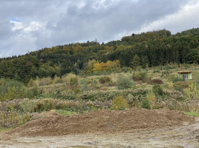 Einzigartige Immobilie für Reitsportzentrum, Markus Handl, Equestrian Properties, Goberling, Image 3