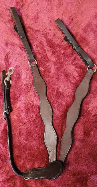 Einzigartige WEAVER Einohrtrense plus Vorderzeug - RAR Größe FULL, Weaver, Ulrike, Bridles & Headstalls, Hagen, Image 14