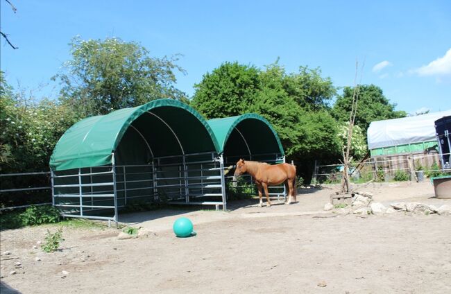 Aufzucht-Platz für Junghengst im Offenstall, Fiona Macom, Horse Stables, Ahrensbök , Image 10