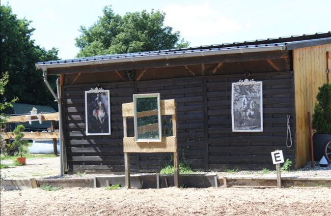 Aufzucht-Platz für Junghengst im Offenstall, Fiona Macom, Horse Stables, Ahrensbök , Image 4