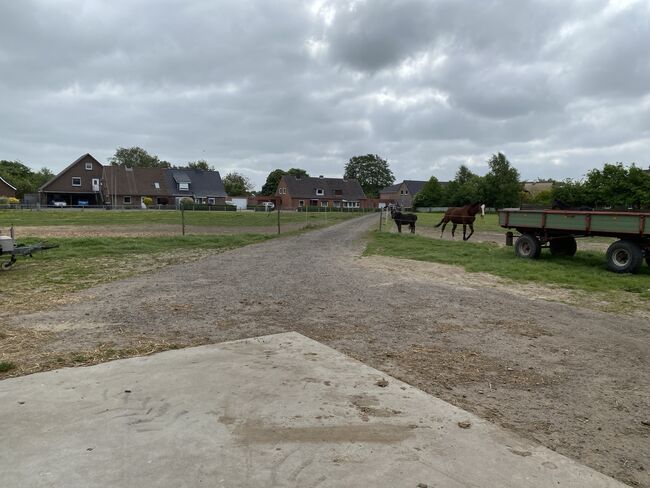 Stellplatz in Nordseenähe, Dehn, Horse Stables, Marnerdeich