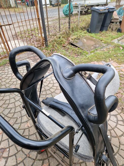 Voltigiergurt, Voltigiergurt , Coenen , Lonżowanie, Panketal 