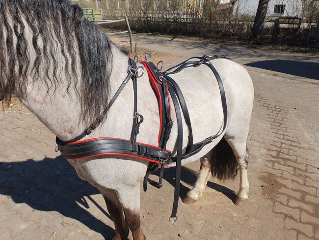 Neuwertiges Zweispännergeschirr Pony, KL, Uprząż dla powozy konne, Niederstetten 