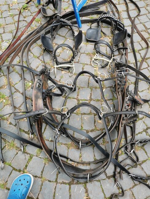 Zweispänner Brustblattgeschirr, Simone, Uprząż dla powozy konne, Schönenberg-Kübelberg, Image 3