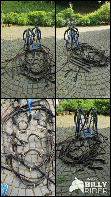 Zweispänner Brustblattgeschirr, Simone, Uprząż dla powozy konne, Schönenberg-Kübelberg, Image 5