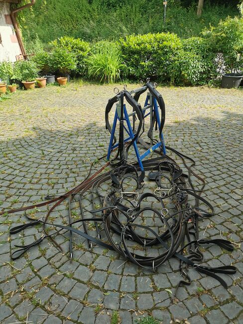 Zweispänner Brustblattgeschirr, Simone, Uprząż dla powozy konne, Schönenberg-Kübelberg