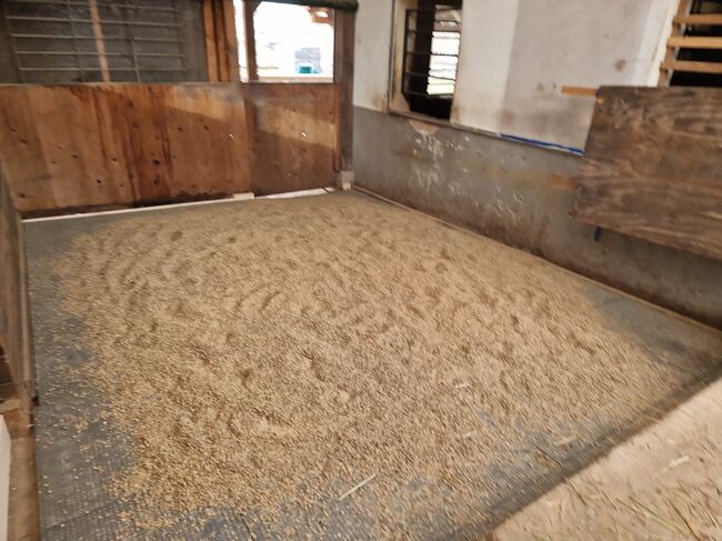 Dringend Stallplätze auch Asthmatiker/Allergiker, Offenstall/Box, Lehmann, Horse Stables, Weißenburg, Image 2