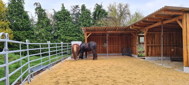 Dringend Beisteller/Einsteller gesucht, Almut , Horse Stables, Amöneburg, Image 2