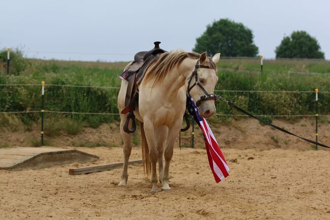 Bezaubernde Quarter Horse Stute in Traumfarbe, Kerstin Rehbehn (Pferdemarketing Ost), Konie na sprzedaż, Nienburg, Image 16