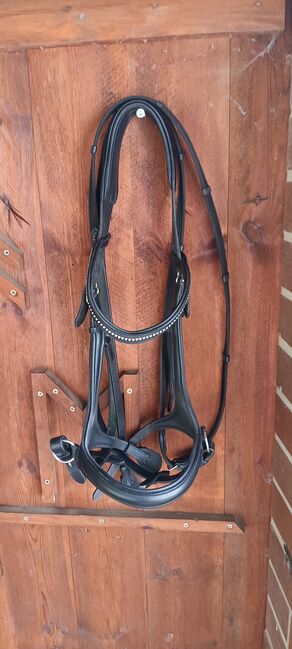 USG Gebisslose Trense vb/Cob, USG, Stella, Bitless Bridles, Raddusch