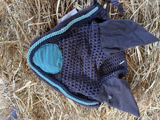 Fliegenohren, Selina.1204, Ochrona koni przed owadami , Neustadt an der Weinstraße 