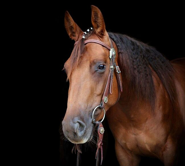 Talentierte Quarter Horse Jungstute für Sport und Freizeit, Kerstin Rehbehn (Pferdemarketing Ost), Konie na sprzedaż, Nienburg