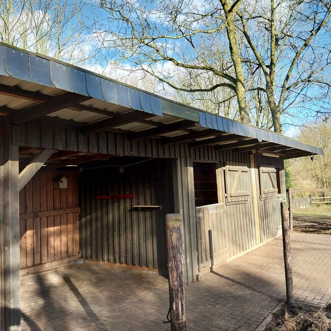 Außenboxen / Pferdeställe / Weidehütten, Catrin Otto, Horse Shelters & Tents, Heinsberg, Image 22