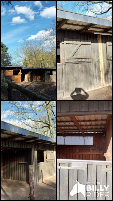 Außenboxen / Pferdeställe / Weidehütten, Catrin Otto, Horse Shelters & Tents, Heinsberg, Image 25