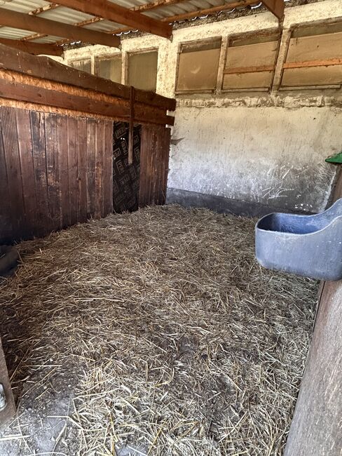 Aussenboxen zu vergeben - Nähe Berlin / Potsdam, Sandra , Horse Stables, Potsdam, Image 3