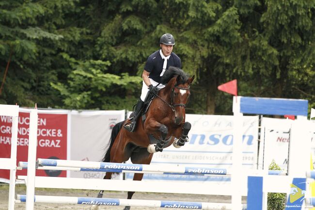 Ausdrucksstarke, liebevolle Stute, Fabienne Rietzler, Horses For Sale, Tarrenz, Image 5