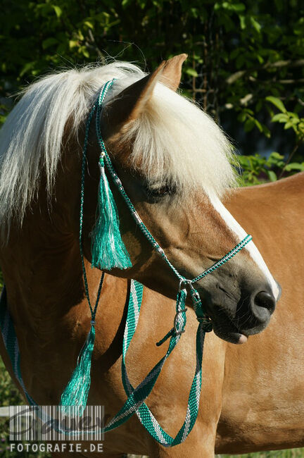Englisch-Zaum "Gebisslos-Classic-Color" in mittelgrün/weiss mit silbernen Ornament-Perlen, Una (Horse-design), Ogłowia bezwędzidłowe, Rot am See, Image 2