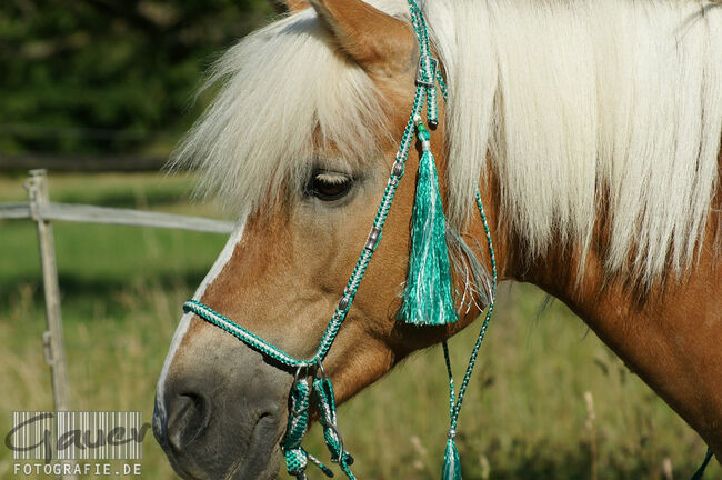 Englisch-Zaum "Gebisslos-Classic-Color" in mittelgrün/weiss mit silbernen Ornament-Perlen, Una (Horse-design), Ogłowia bezwędzidłowe, Rot am See, Image 4