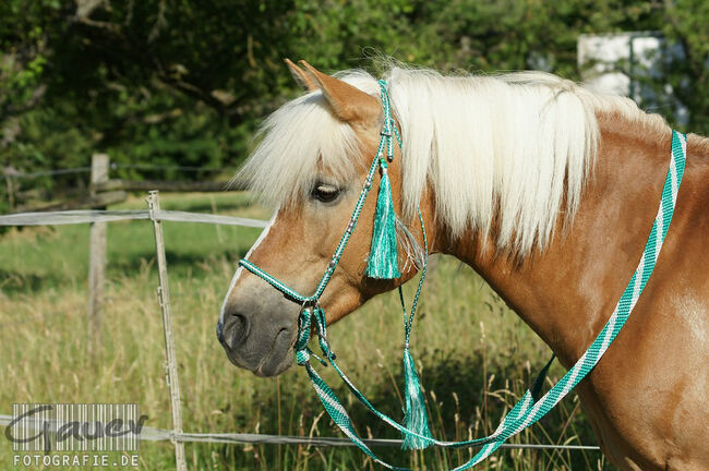 Englisch-Zaum "Gebisslos-Classic-Color" in mittelgrün/weiss mit silbernen Ornament-Perlen, Una (Horse-design), Ogłowia bezwędzidłowe, Rot am See