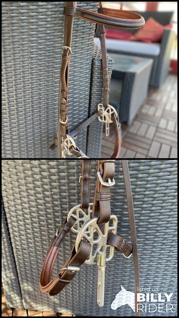 Gebissloser Zaum, Starbridle, Andrea , Ogłowia bezwędzidłowe, Eschenbach LU, Image 3