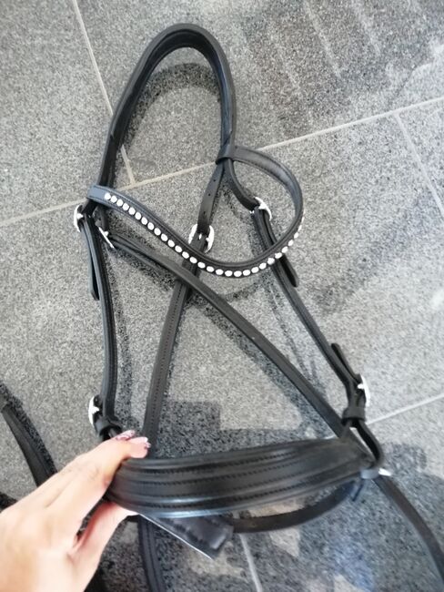 Biteless Bridle WB, Heinick Biteless bridle, Julia , Ogłowia bezwędzidłowe, Kitzingen