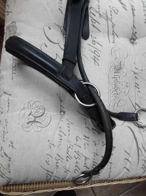 Bitless Bridle Dr. Cook, Dr. Cook, Speier, Ogłowia, Inzigkofen, Image 2