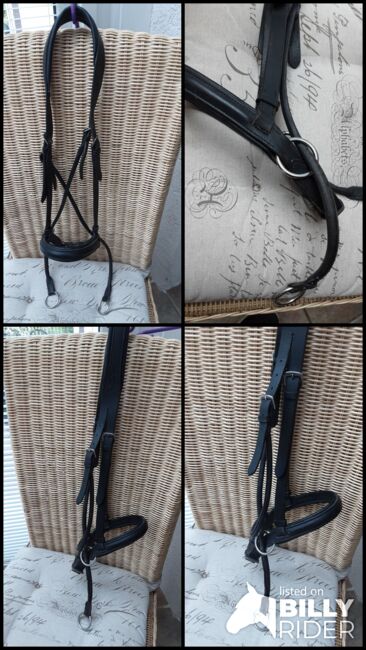 Bitless Bridle Dr. Cook, Dr. Cook, Speier, Ogłowia, Inzigkofen, Image 5