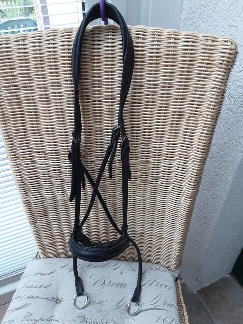 Bitless Bridle Dr. Cook, Dr. Cook, Speier, Ogłowia, Inzigkofen