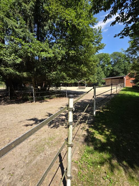 Wunderschönes Anwesen für Pferdeliebhaber, Anna, Equestrian Properties, Oyten, Image 5