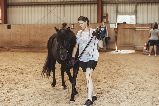 Bildschöne Naturtölterin, Irina, Horses For Sale, Östringen, Image 2