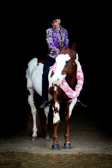 Wunderschöne 2 jährige QH/PH Stute zu verkaufen, Johanna Rohwer , Horses For Sale, Herborn , Image 31