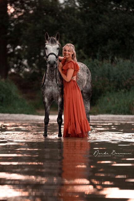 Schöne Apfelschimmel Stute, Alice Kirsch, Horses For Sale, Staßfurt , Image 6