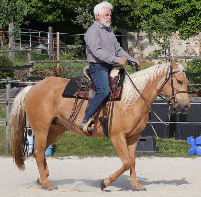 Bildhübsche Palomino (Roan) Quarter Horse Stute - Ein echter Eyecatcher mit Talent und Charakter, Kerstin Rehbehn (Pferdemarketing Ost), Horses For Sale, Nienburg, Image 20