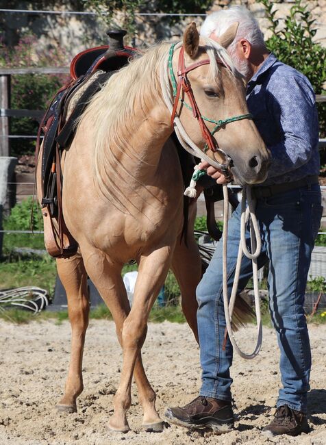 Bildhübsche Palomino (Roan) Quarter Horse Stute - Ein echter Eyecatcher mit Talent und Charakter, Kerstin Rehbehn (Pferdemarketing Ost), Horses For Sale, Nienburg, Image 12