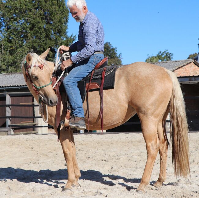 Bildhübsche Palomino (Roan) Quarter Horse Stute - Ein echter Eyecatcher mit Talent und Charakter, Kerstin Rehbehn (Pferdemarketing Ost), Horses For Sale, Nienburg, Image 11