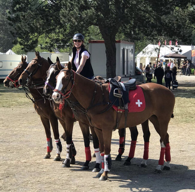 Schöne Ausritte, Kronwitter Petra , Riding Holidays, Mainbernheim, Image 15