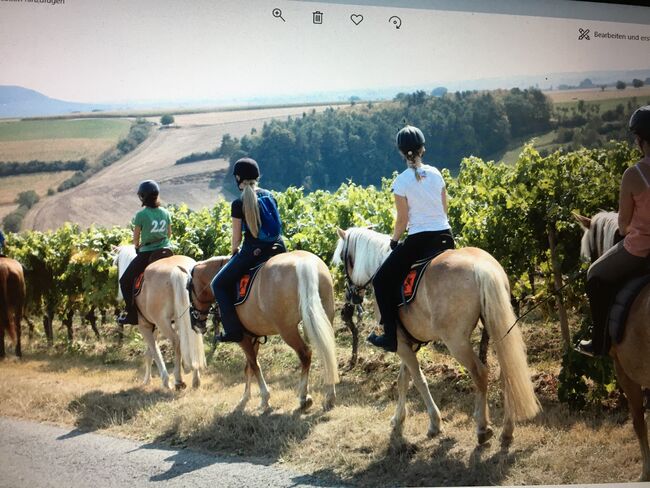 Schöne Ausritte, Kronwitter Petra , Riding Holidays, Mainbernheim, Image 10