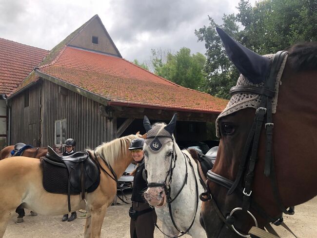 Schöne Ausritte, Kronwitter Petra , Riding Holidays, Mainbernheim, Image 13