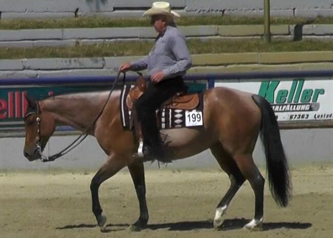 Gut gerittene QH Stute mit viel Potential, Kerstin Rehbehn (Pferdemarketing Ost), Horses For Sale, Nienburg, Image 2