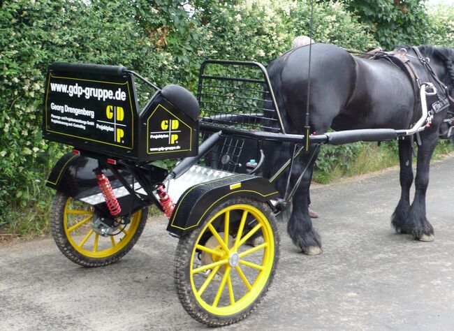 Kutsche/Gig, X-Chaise, Einspänner, X-Chaise, Drengenberg, Carriages, Dortmund , Image 3