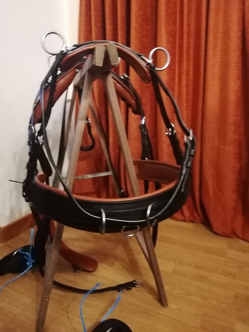 Kutschgeschirr Zweispänner Shetty, Josy, Horse Harness, Schafstedt, Image 6